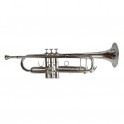Clef Wind Aura trompeta